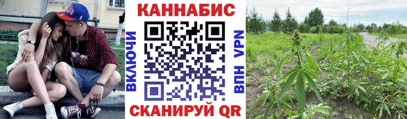 Какие есть наркотики Щёкино COCAIN  Бошки Шишки  Меф мяу мяу  Гашиш 
