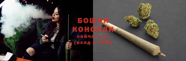 прущая мука Нея